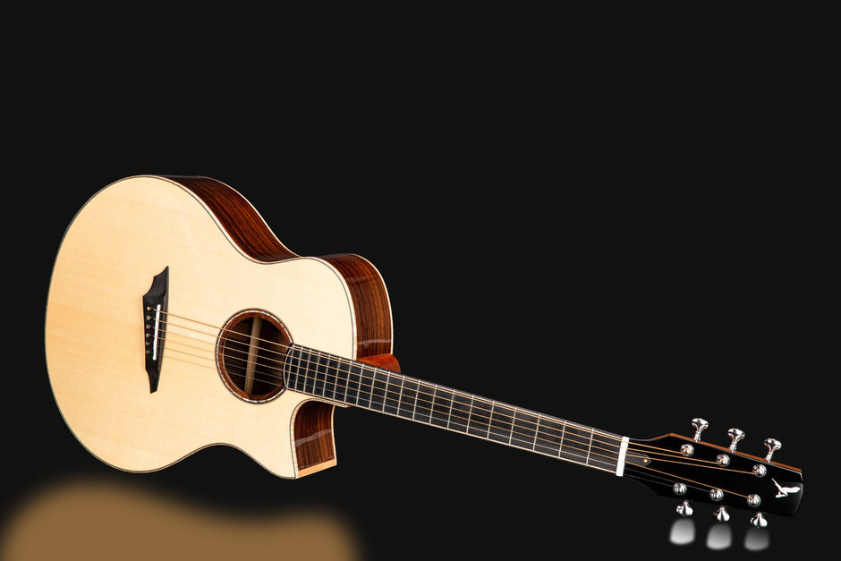 AVIAN Songbird/R/DCアコースティックギター AVIAN Songbird/R/DCアコースティックギター Avian Songbird