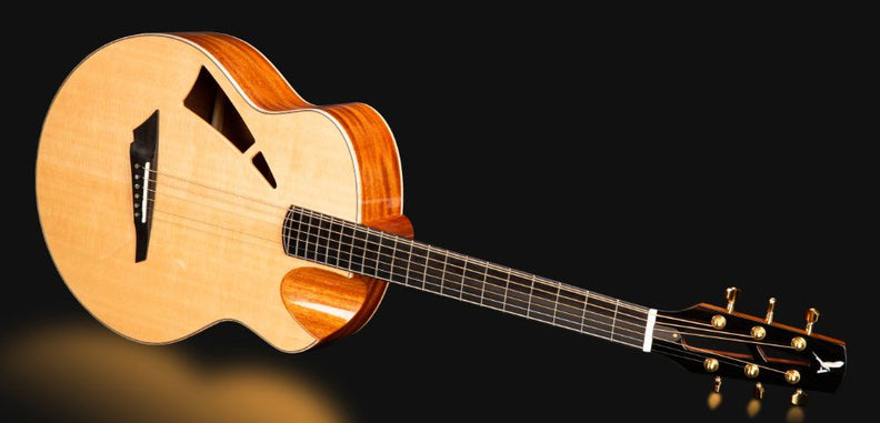 All Products – Avian Guitars
